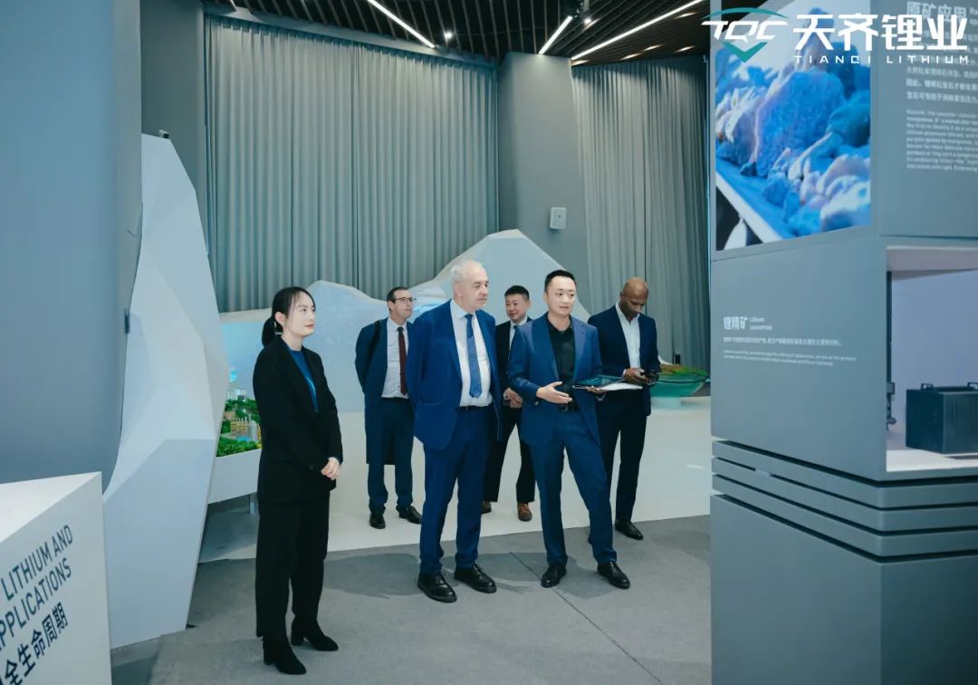 Z6·尊龙凯时·(中国区)官方网站