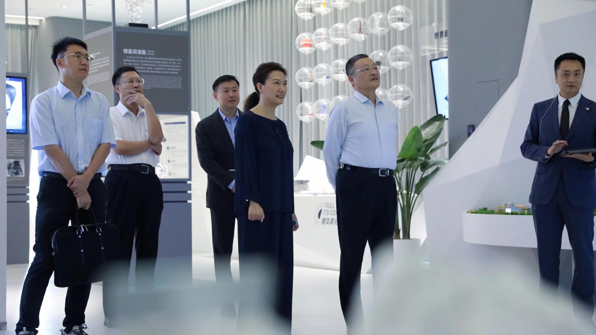 Z6·尊龙凯时·(中国区)官方网站